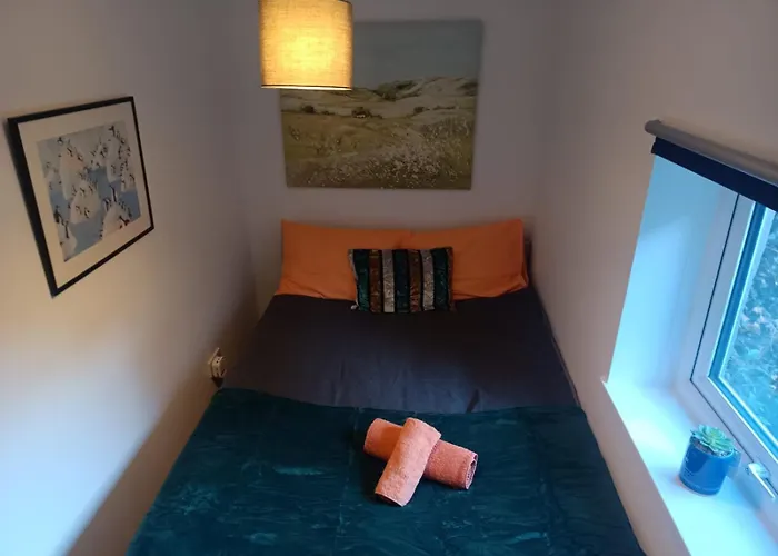 Cosy Garden Flat Near Bay & City Centre - Fast Wifi, 5 Mins To Centre