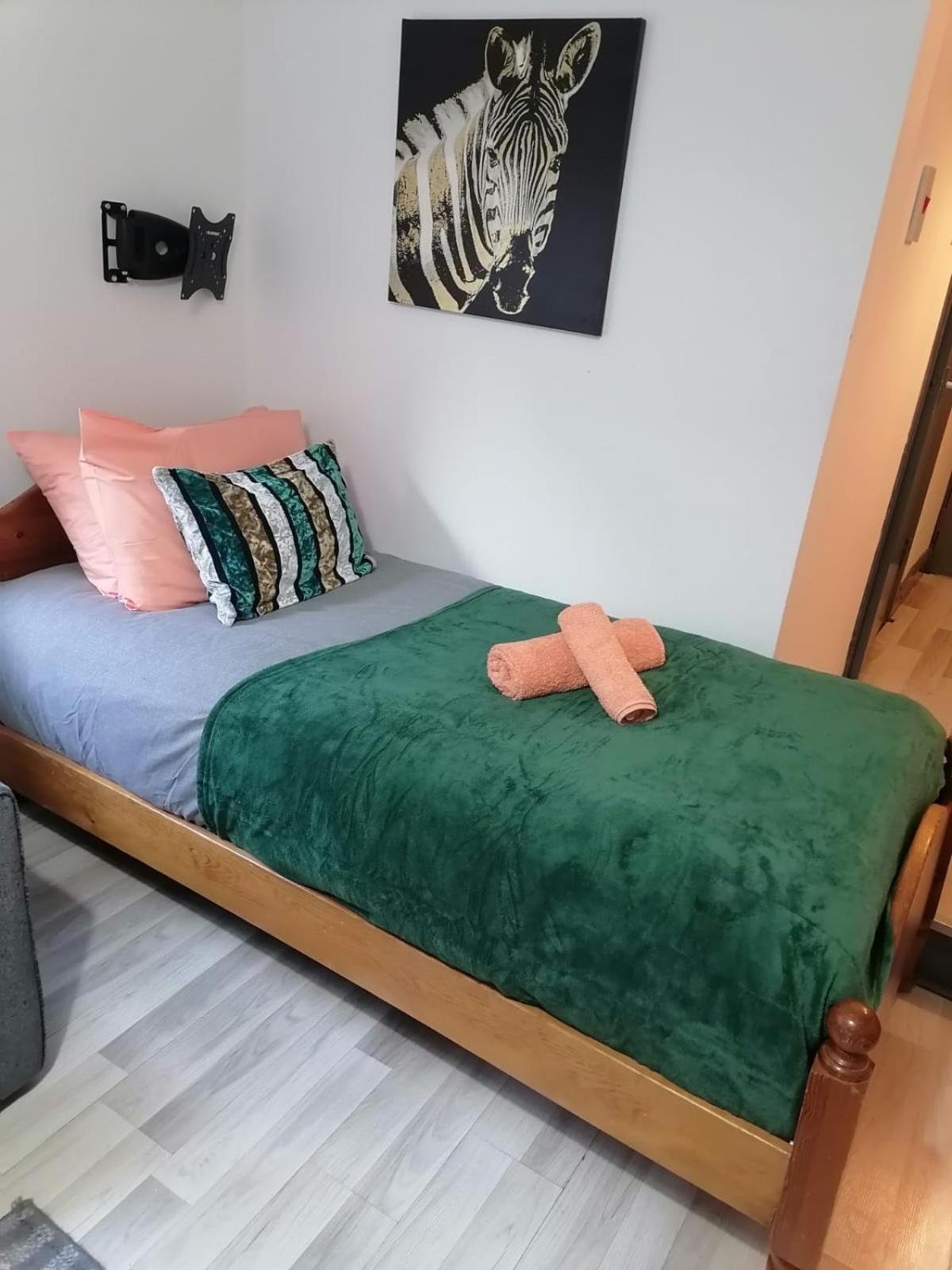 Apartamento Cosy Garden Flat Near Bay & Centre - Fast Wifi, 5 Mins To Centre Cardiff